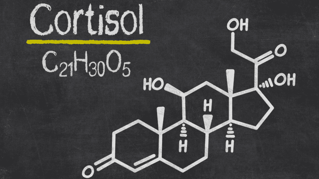 Cortisol und Insulinresistenz